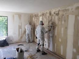 Best Commercial Mold Inspection  in Ashtabula, OH